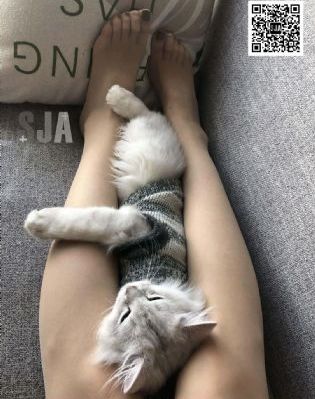 超级老师_DVD在线视频播放